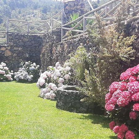 Casas Rurales Los Guinderos Icod de los Vinos Kültér fotó