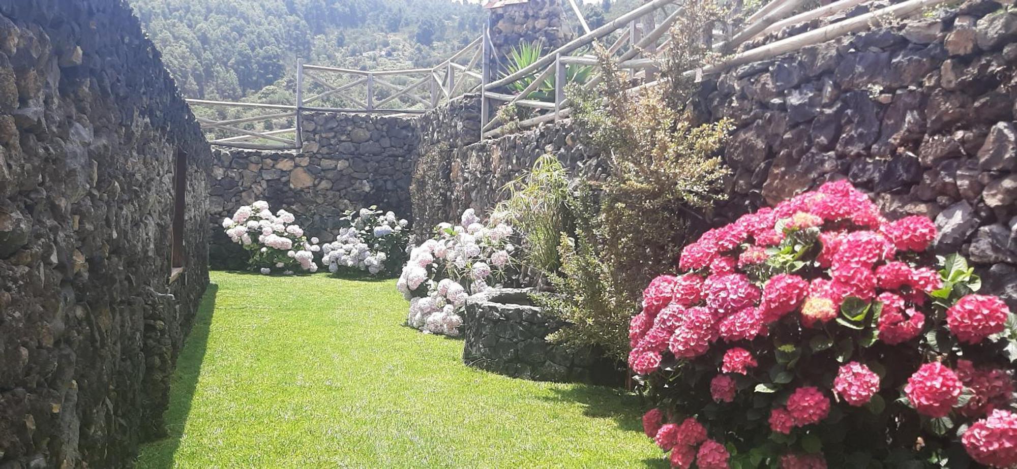 Casas Rurales Los Guinderos Icod de los Vinos Kültér fotó